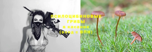 Альфа ПВП Алексин