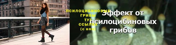трава Алзамай